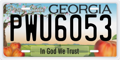 GA license plate PWU6053
