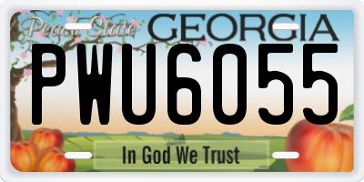 GA license plate PWU6055