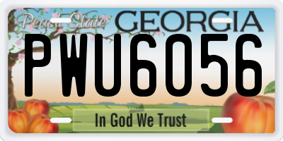 GA license plate PWU6056