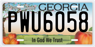 GA license plate PWU6058