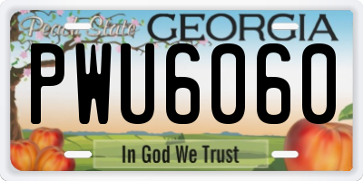GA license plate PWU6060