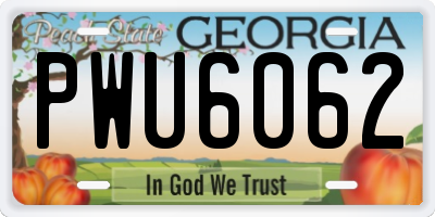 GA license plate PWU6062