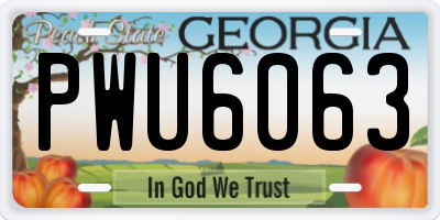 GA license plate PWU6063