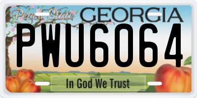 GA license plate PWU6064