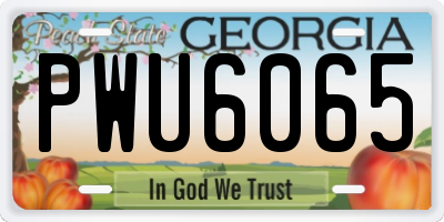 GA license plate PWU6065
