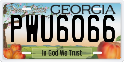 GA license plate PWU6066