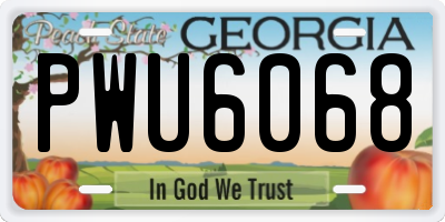 GA license plate PWU6068