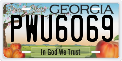 GA license plate PWU6069
