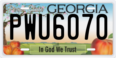 GA license plate PWU6070