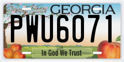 GA license plate PWU6071