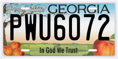 GA license plate PWU6072