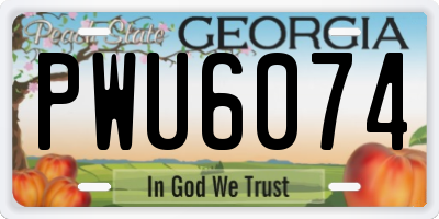 GA license plate PWU6074
