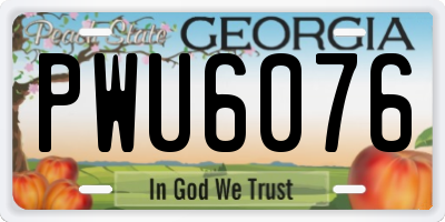 GA license plate PWU6076