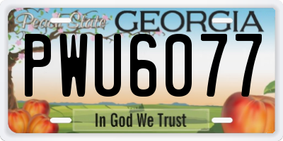 GA license plate PWU6077