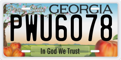 GA license plate PWU6078