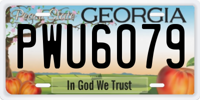 GA license plate PWU6079