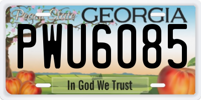 GA license plate PWU6085