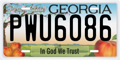 GA license plate PWU6086