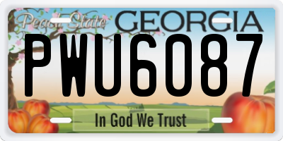 GA license plate PWU6087