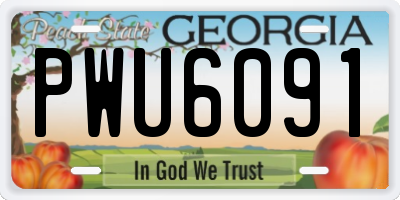 GA license plate PWU6091