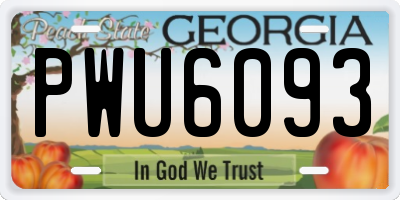 GA license plate PWU6093