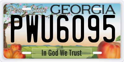 GA license plate PWU6095