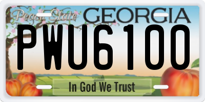 GA license plate PWU6100