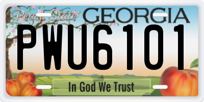 GA license plate PWU6101