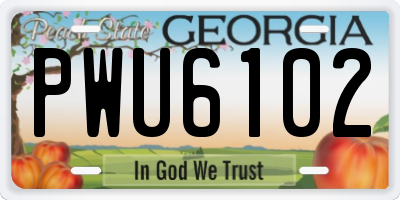 GA license plate PWU6102