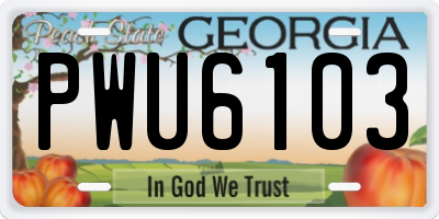 GA license plate PWU6103