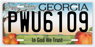 GA license plate PWU6109