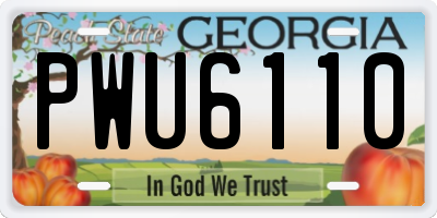 GA license plate PWU6110