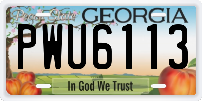 GA license plate PWU6113
