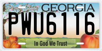 GA license plate PWU6116