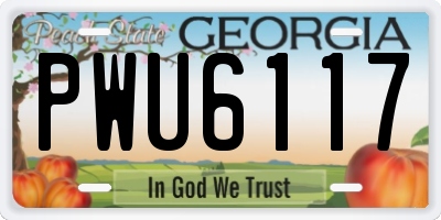 GA license plate PWU6117