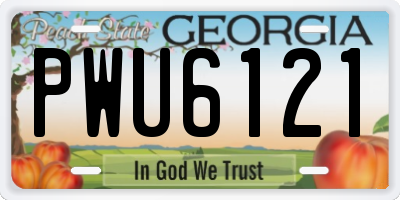 GA license plate PWU6121