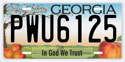 GA license plate PWU6125
