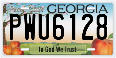 GA license plate PWU6128