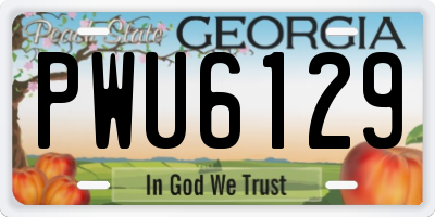 GA license plate PWU6129