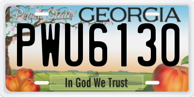 GA license plate PWU6130