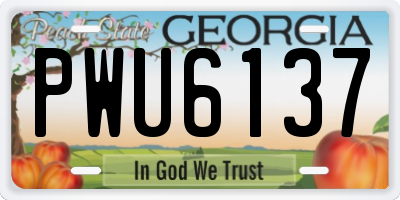 GA license plate PWU6137