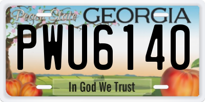 GA license plate PWU6140