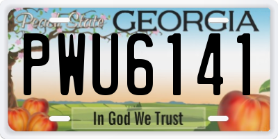 GA license plate PWU6141