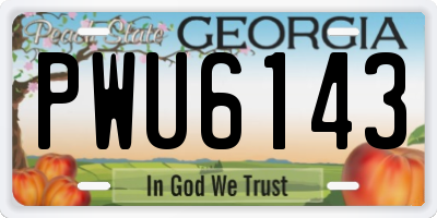 GA license plate PWU6143