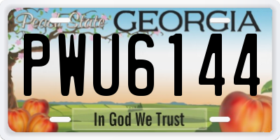 GA license plate PWU6144
