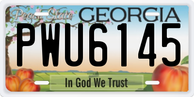 GA license plate PWU6145