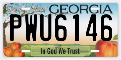 GA license plate PWU6146