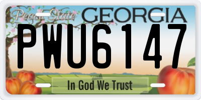 GA license plate PWU6147