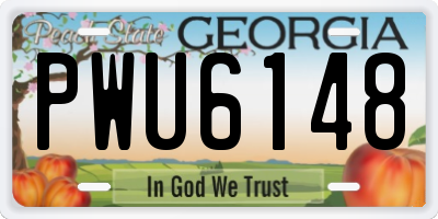 GA license plate PWU6148