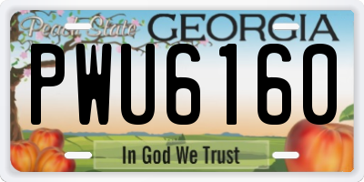 GA license plate PWU6160